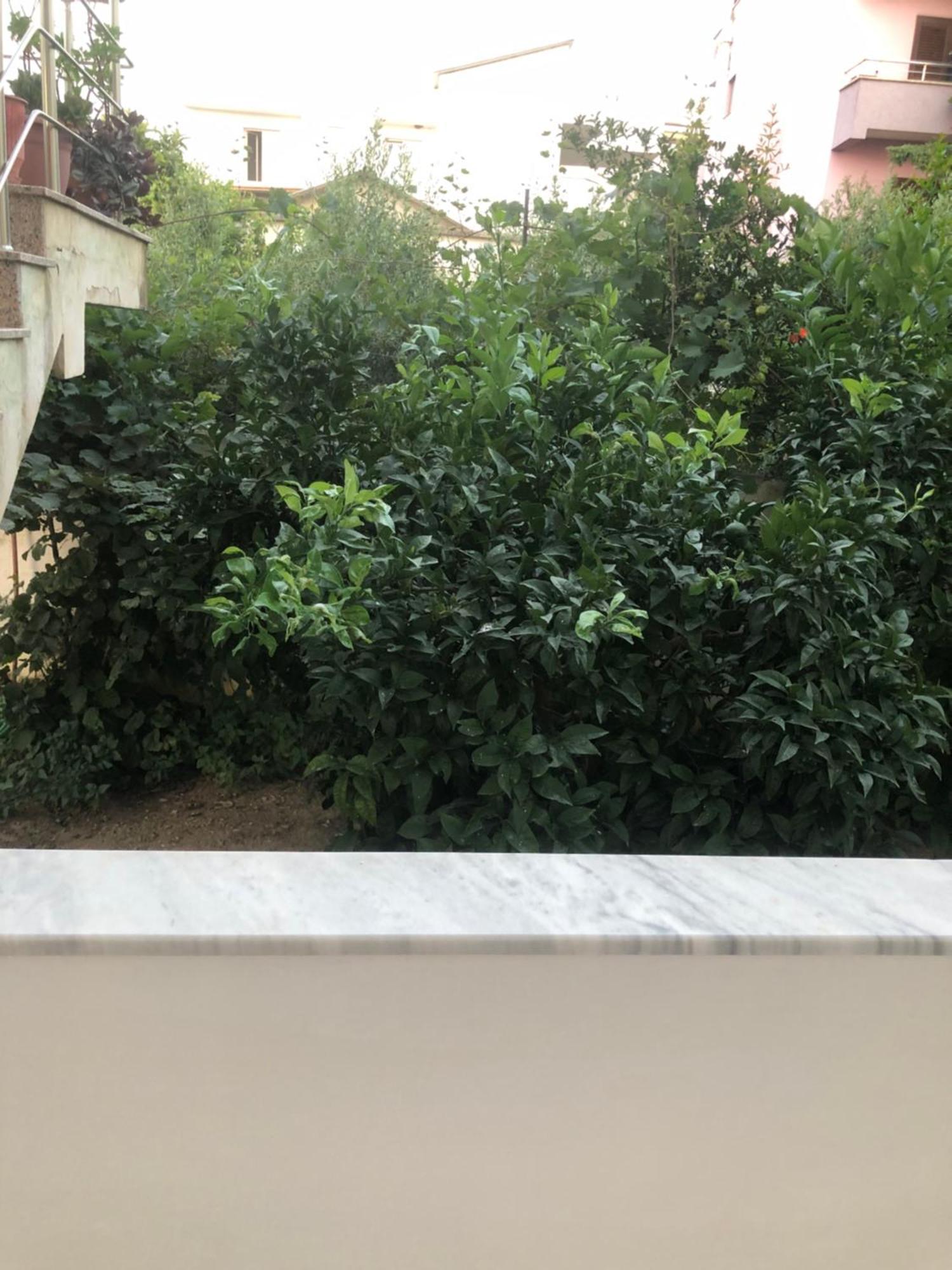 דורס Rooms For Rent מראה חיצוני תמונה
